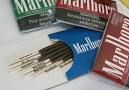 marlboro