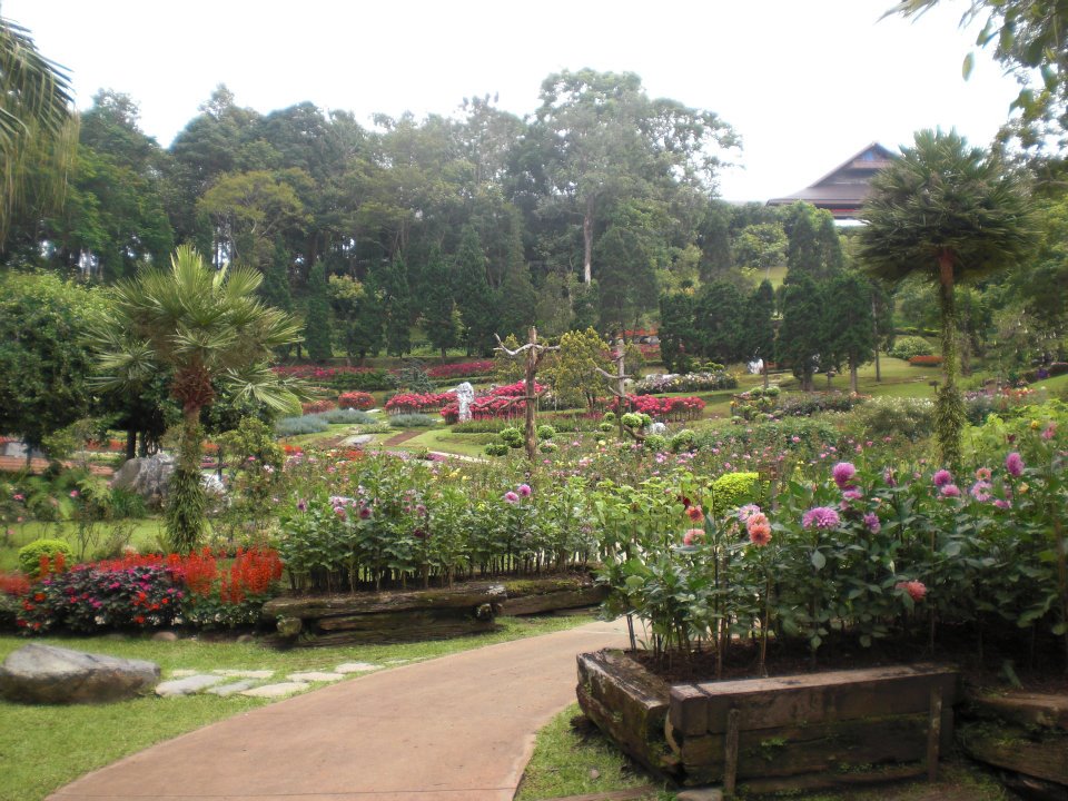 garden3