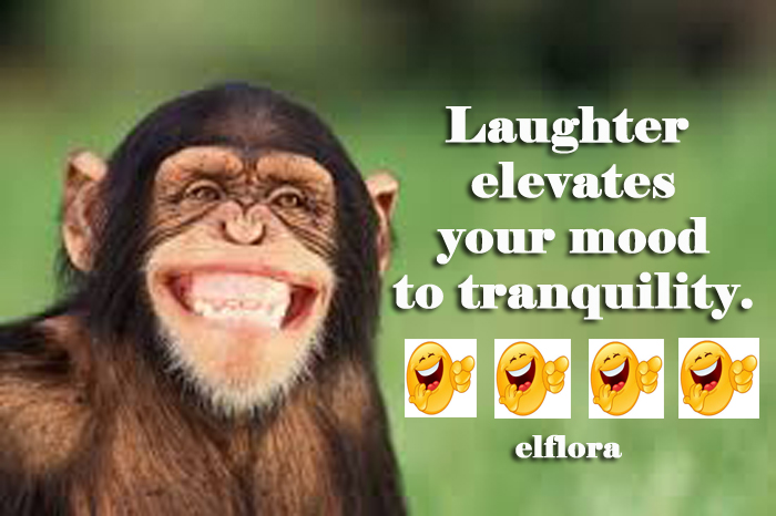 laughtermood