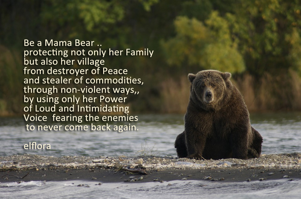 be-a-mama-bear-el-flora-el-flora